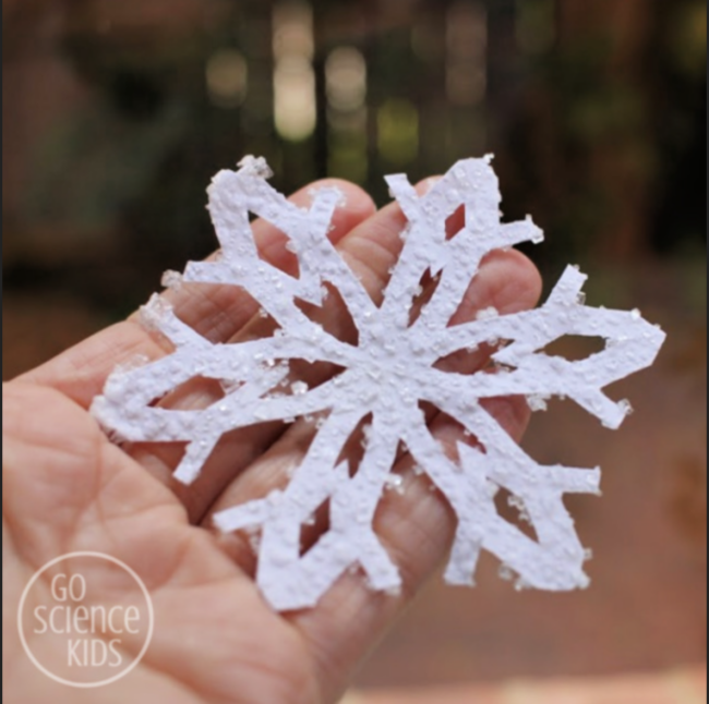 salt-crystal-paper-snowflake