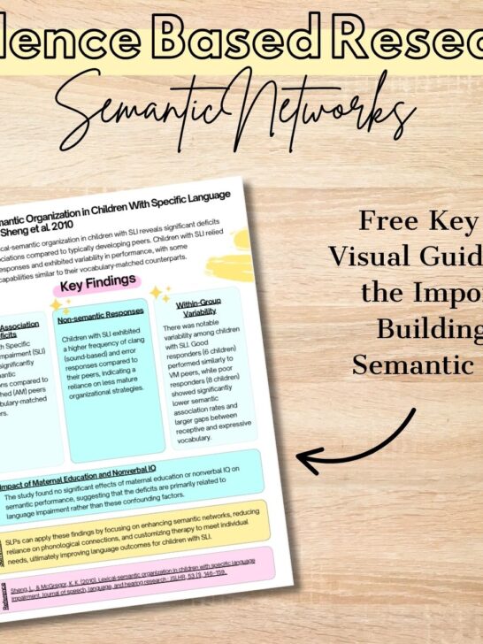 research on building semantic networks speech therapy