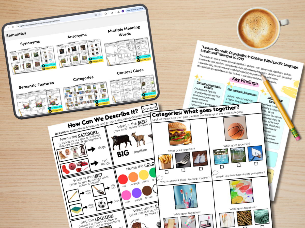 Categories In Speech Therapy (How and What to Teach) - Speech Therapy Store